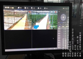 助力北京科百宏业  运用物联网和大数据颠覆传统农业